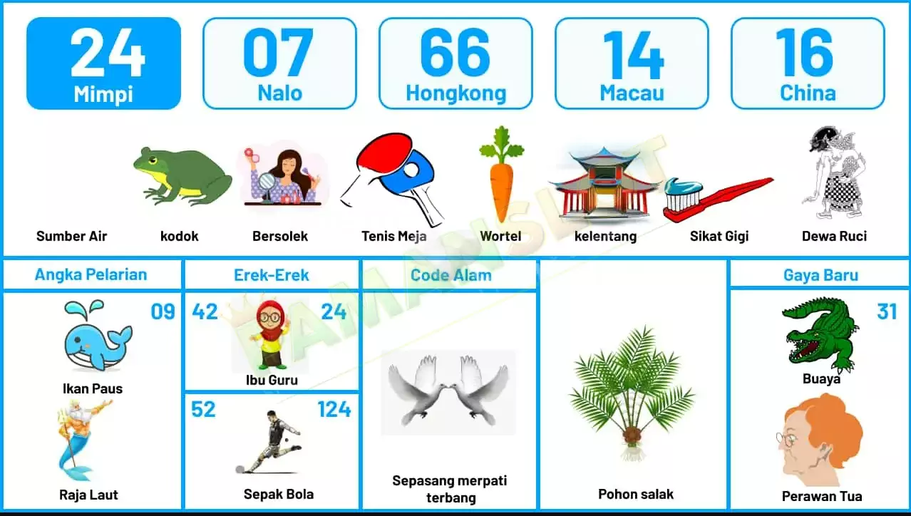 buku mimpi erek erek togel 24