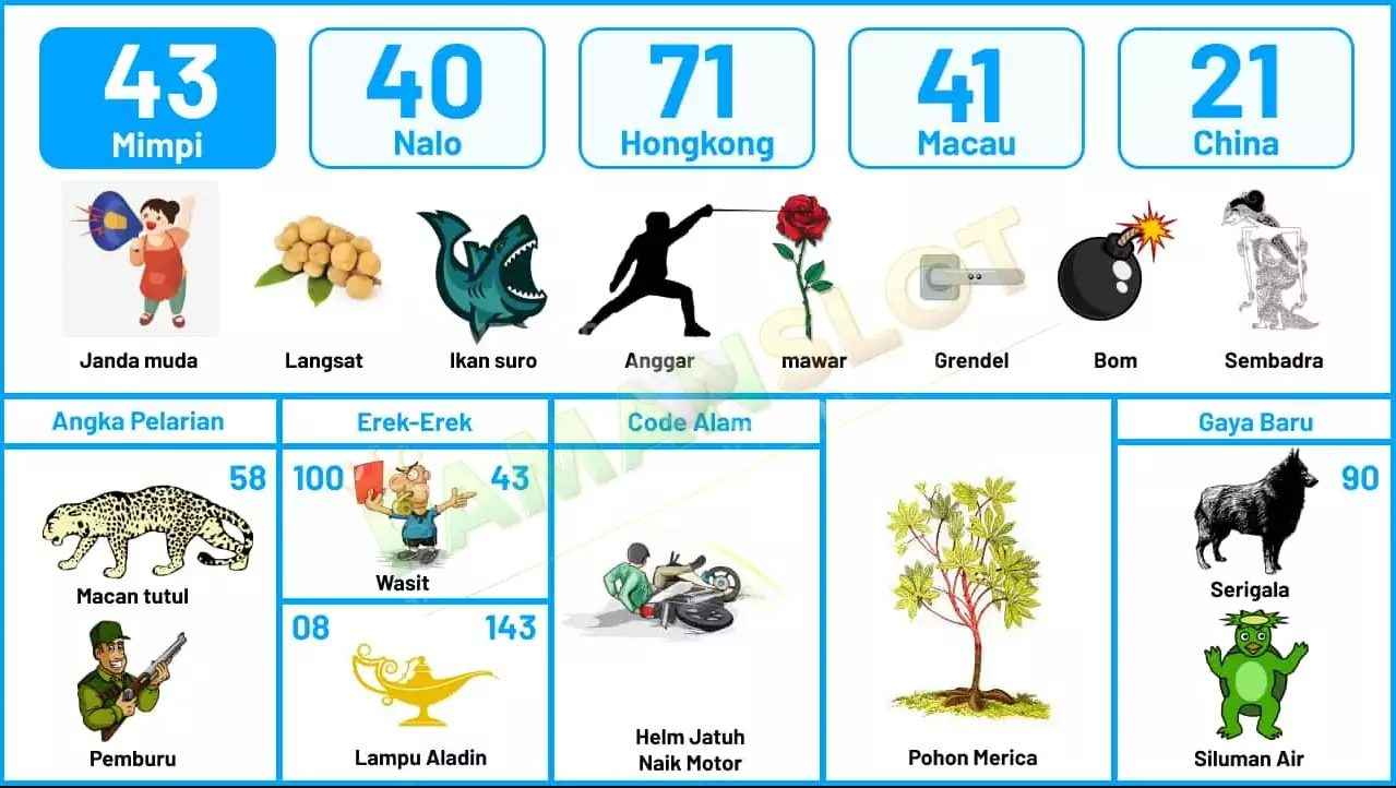 buku mimpi erek erek togel 43