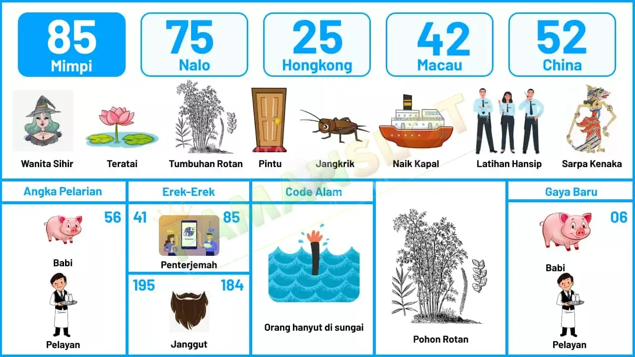 buku mimpi erek erek togel 85