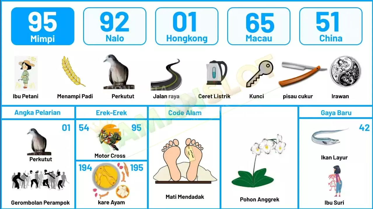 buku mimpi erek erek togel 95